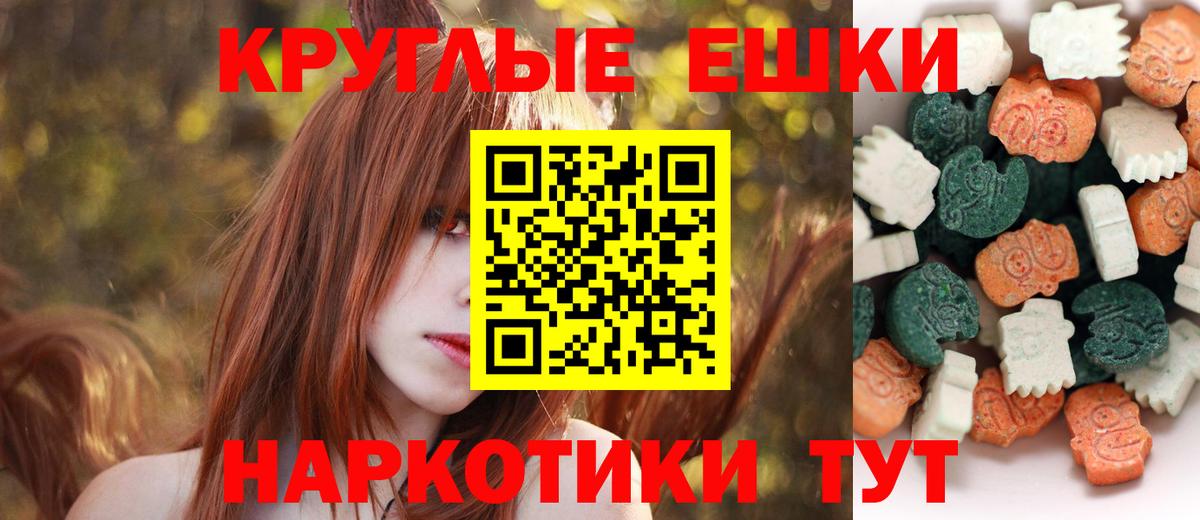 Альфа ПВП Бийск