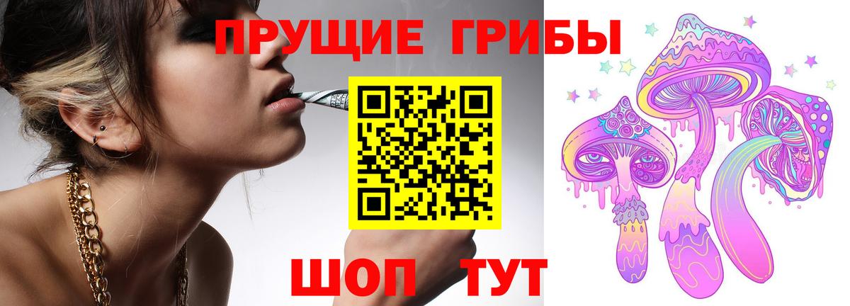 Бийск  Псилоцибиновые грибы Cubensis  Вход с VPN 